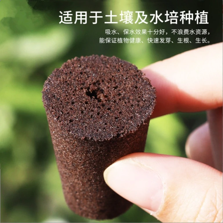 多肉育苗盘可放置3cm育苗块10孔育苗盒保温保湿两件套种植育苗块
