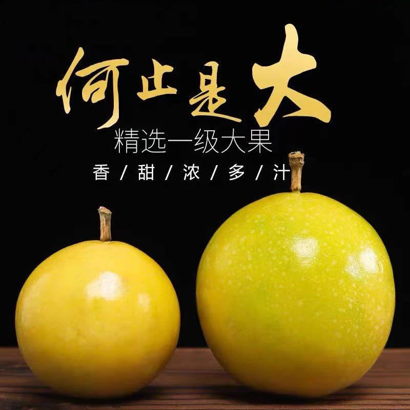 新鲜黄金百香果包邮5斤特一级茂名特产孕妇水果3黄色皮白甜中大果
