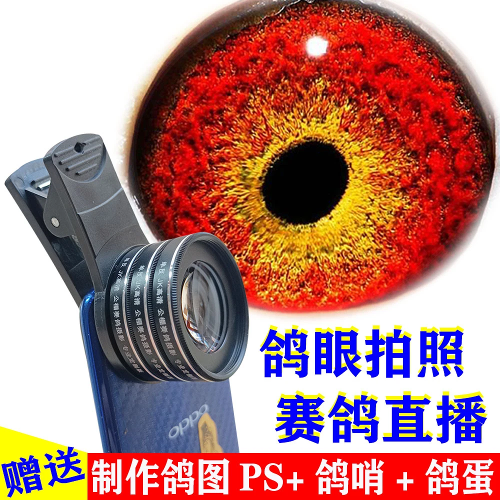 专用手机通用拍鸽子眼放大镜看赛鸽眼砂高清高倍单反镜拍照鸽眼灯