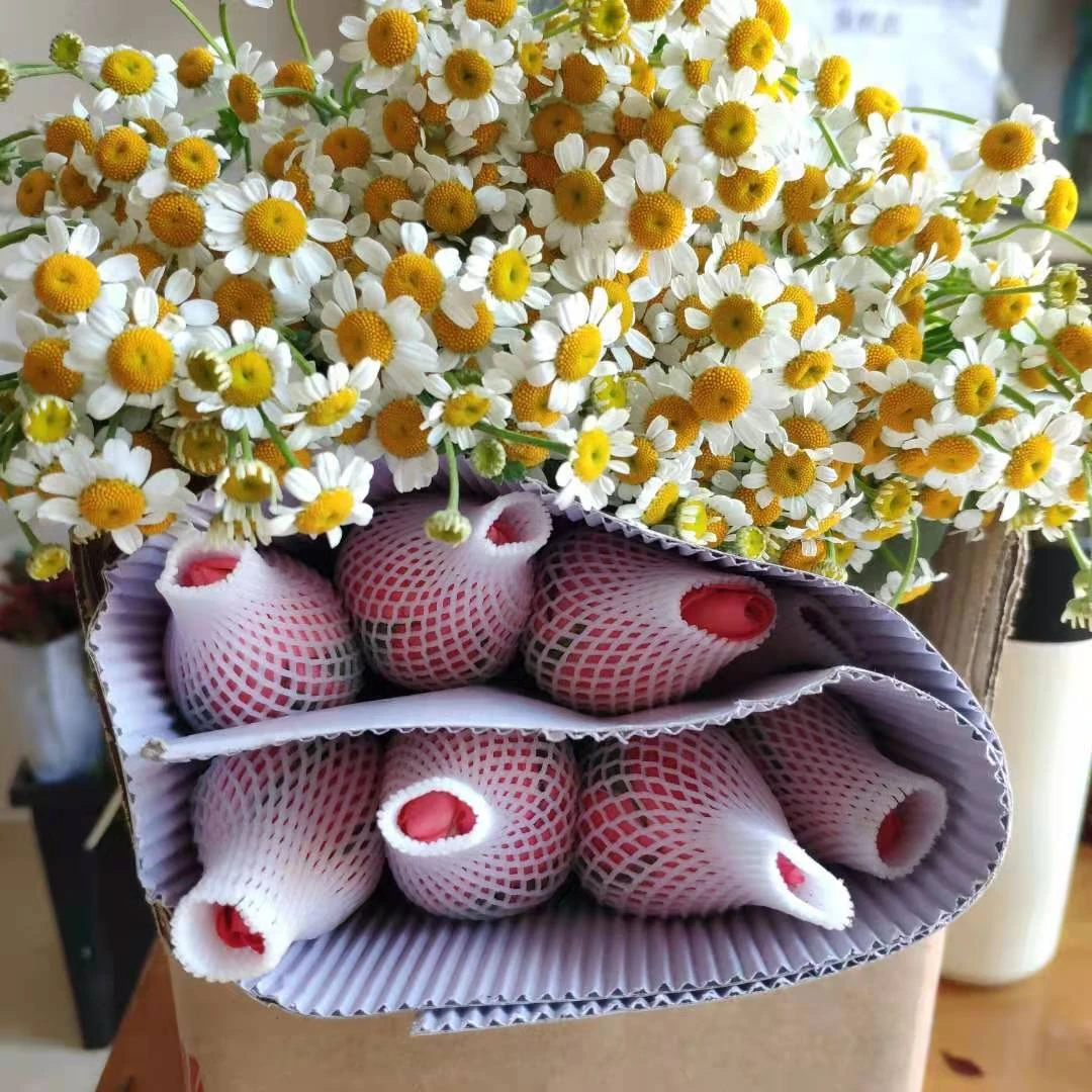 云南鲜花基地直发 玫瑰+洋甘菊组合  花期长 易养护 叶子