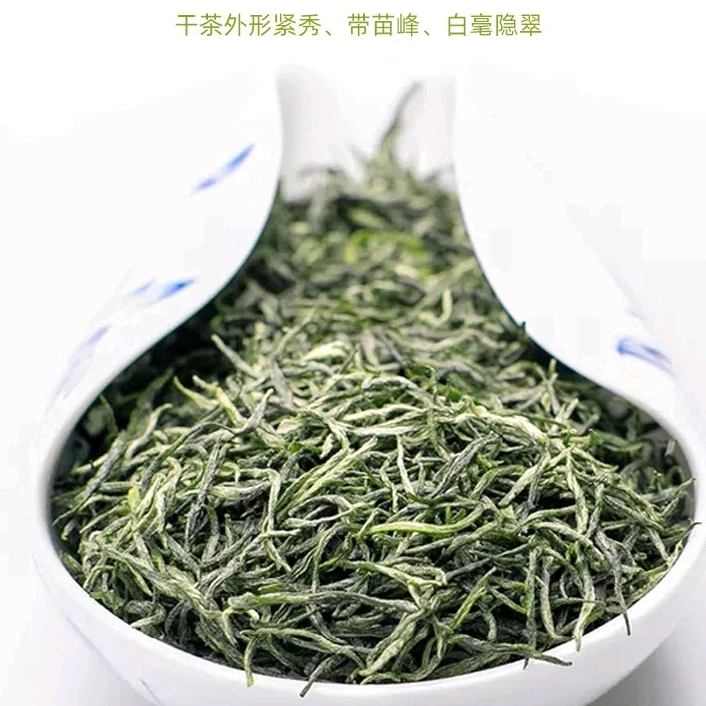 2024信阳毛尖雨前头采中小芽125g/250g/500g