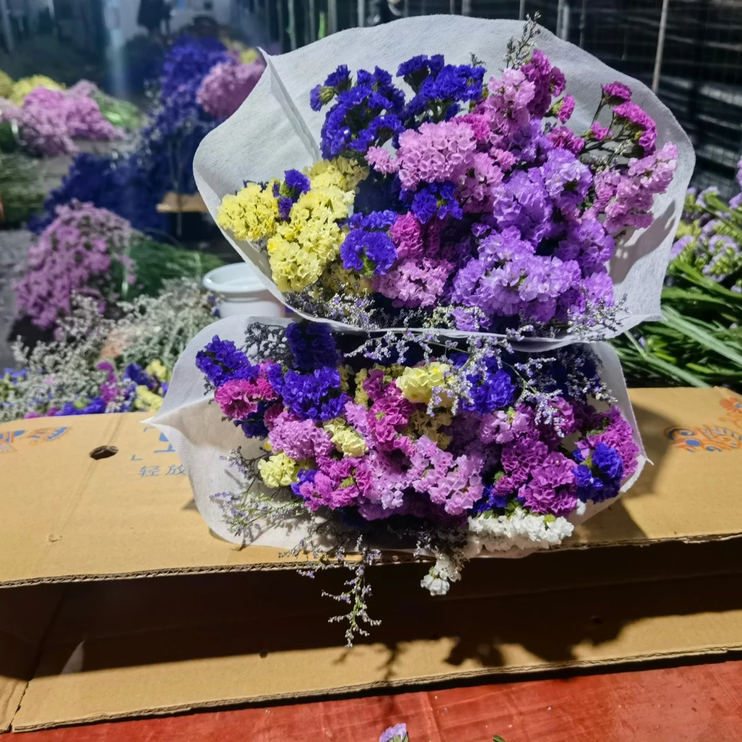 【云南基地直发】勿忘我半干花真花鲜花鲜艳买客厅家居摆件花束风干