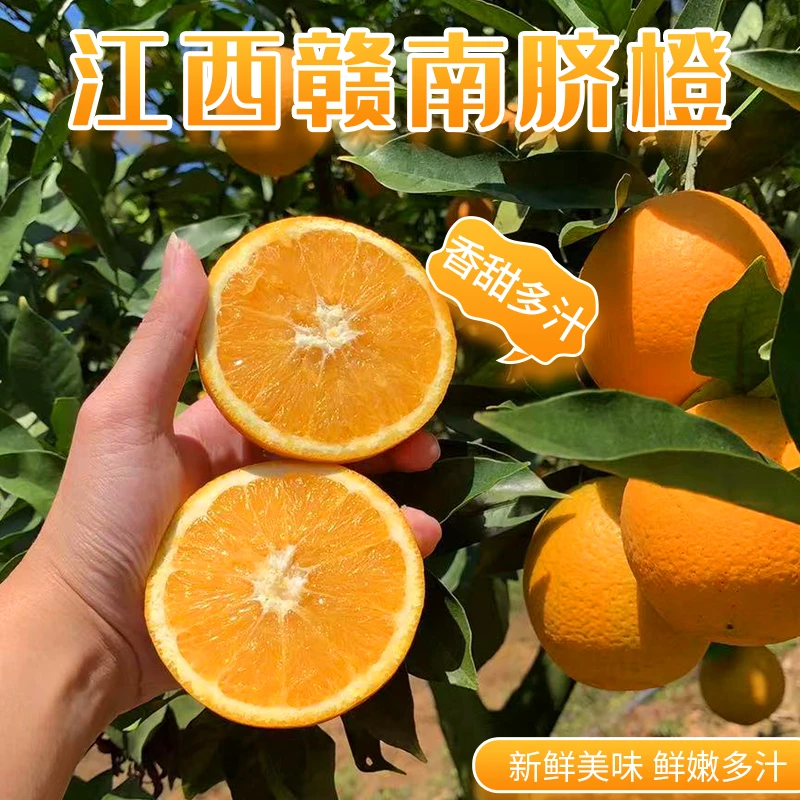 江西赣州赣南脐橙自然成熟新鲜现摘当季水果带箱10斤／20斤