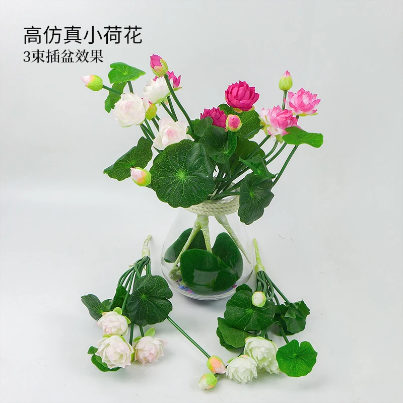 卓卉芝兰仿真荷花荷叶金钱叶浮萍睡莲 仿真绿植假花草小盆栽