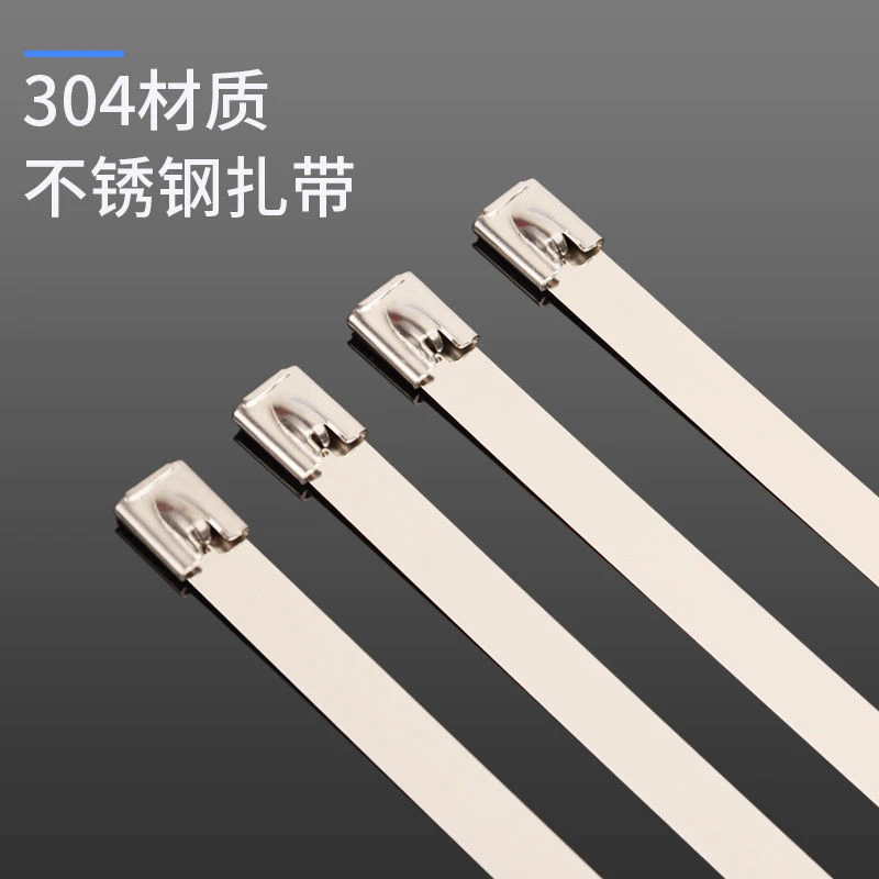 淘不淘器 [可重复使用] 304不锈钢扎带