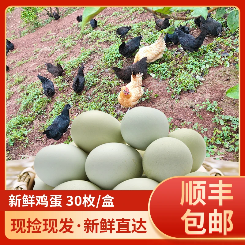 御农天下-五黑绿壳鸡蛋30/枚（新年浮力），纯粮食散养土鸡蛋