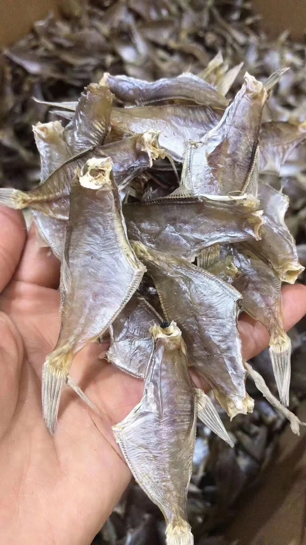南澳岛海干货迪仔鱼干250g-500g