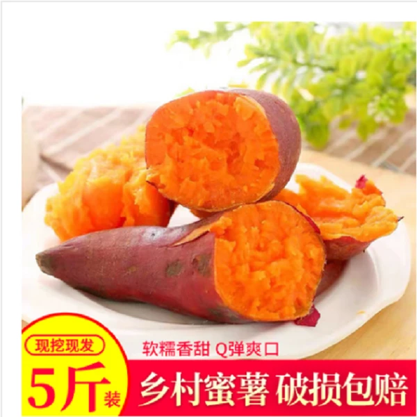 灵璧县乡村密薯糖心食用  5斤香甜皮薄肉质种植包赔好吃蜜甜