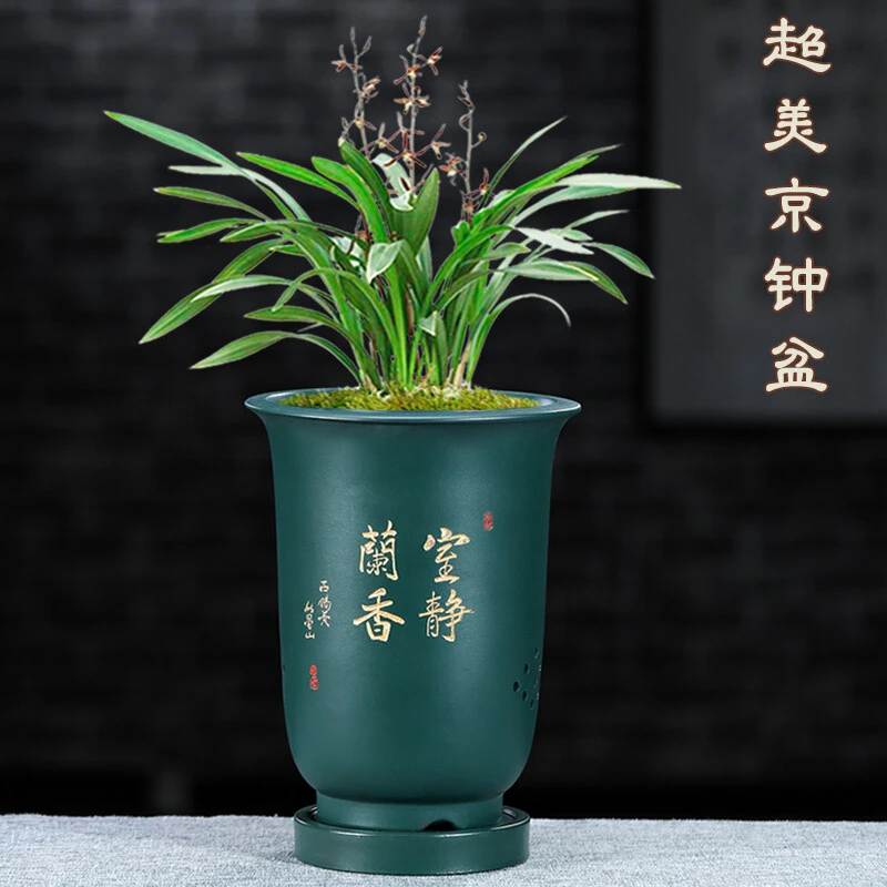 宜兴紫砂花盆金钟花盆带托盘圆形简约兰花盆君子兰盆虎皮兰京钟盆