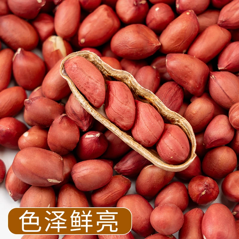 山东甜花生 镇店之宝500g  甘甜