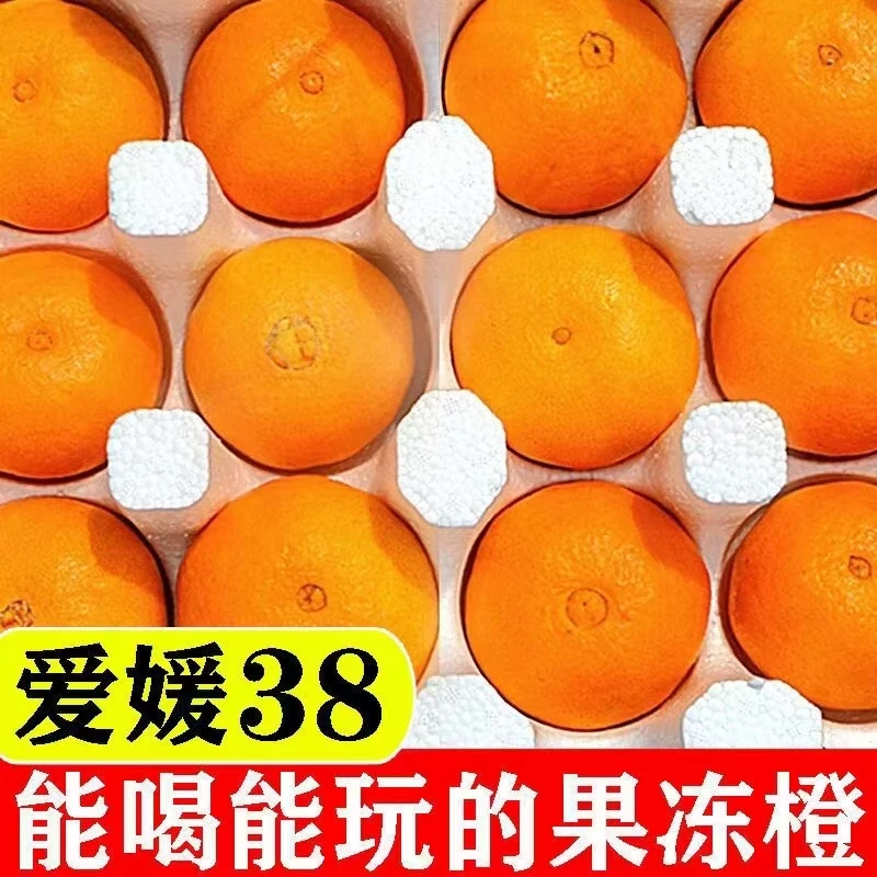 四川眉山爱媛果冻橙可以吸的橙子