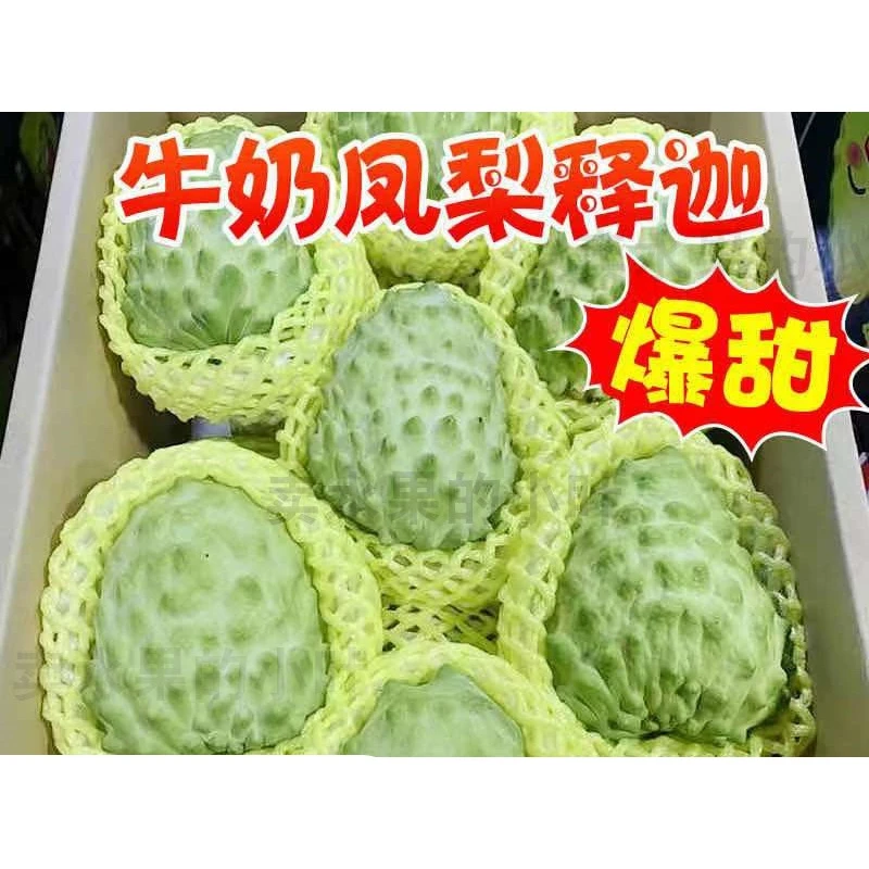 【顺丰】牛奶肉质凤梨释迦果新鲜水果番荔枝当季水果佛头果1-5斤