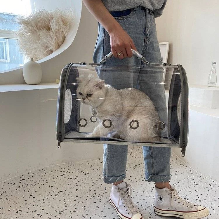 超大号猫包宠物包猫咪狗狗旅行外出透气单肩斜挎手提便携包透明