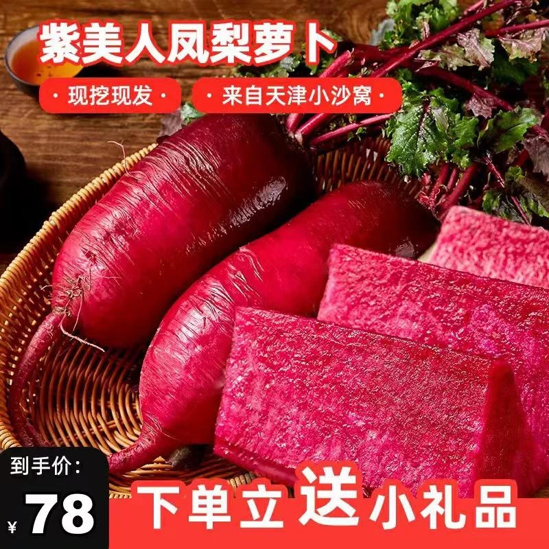 紫美人凤梨水果萝卜正宗沙窝萝卜小沙窝村甜脆多汁皮微辣净重八斤