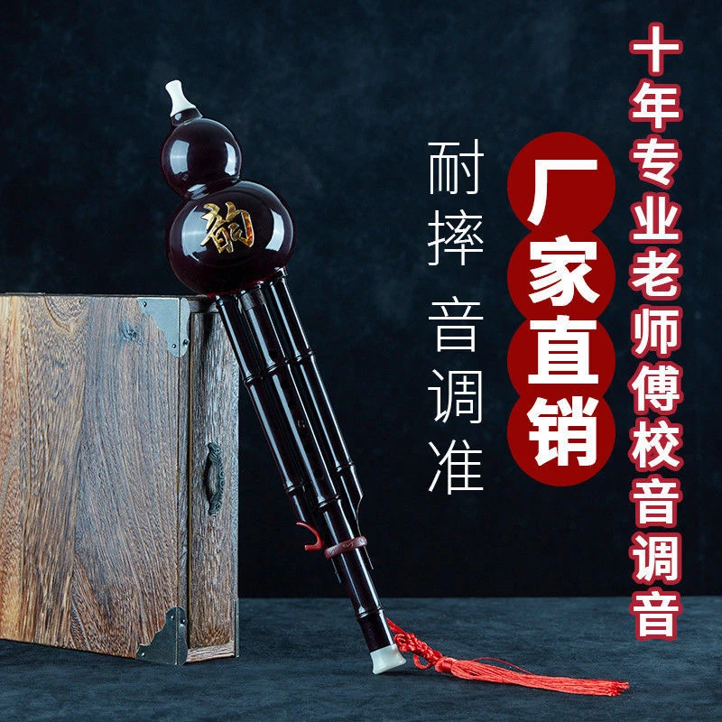 双音初学葫芦丝c调b调 儿童 初学者 入门 成人  树脂胡芦丝乐器