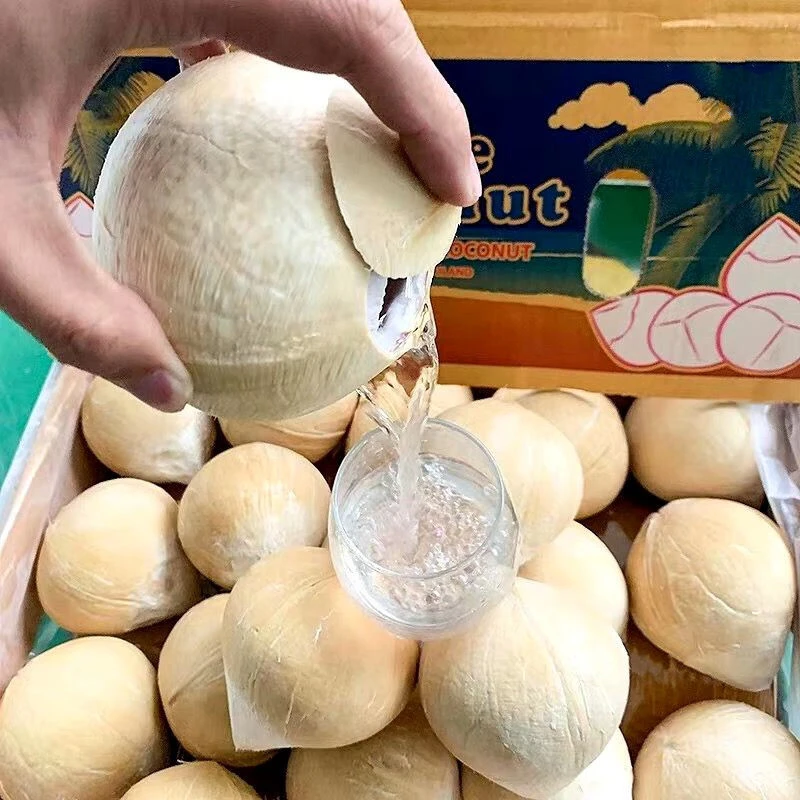 【整箱 椰皇 顺丰包邮】泰国老树龄牛奶椰皇 新鲜清甜