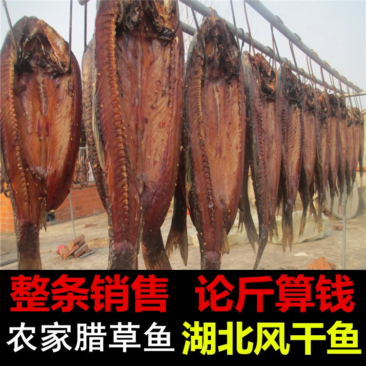 腊鱼湖北农家自制整条有头有尾风干草鱼咸香鱼干整条销售论斤算钱