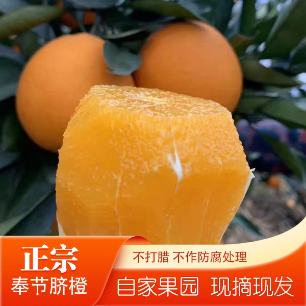 （福利果）花皮奉节脐橙 新鲜脆嫩发货孕妇水果 5斤/10斤/20斤