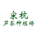 宋杭芦荟种植场