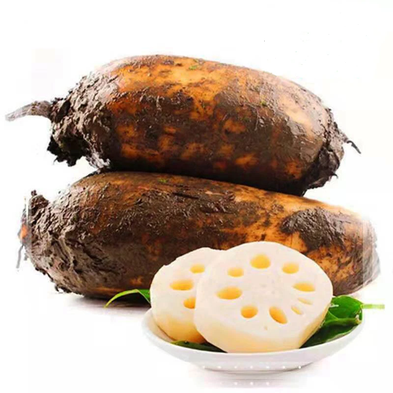 【阜阳产品】现挖自种生态莲藕5斤无漂白绿色食品认证3斤脆藕