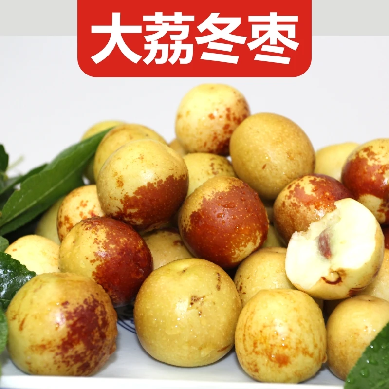 【顺丰快递】陕西大荔冬枣新鲜采摘树上熟皮薄肉厚甜脆多汁口感脆甜