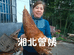 湘北曾姨特产店