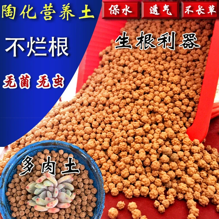 【精选推荐】多肉专用颗粒营养土陶化多元土无虫无菌透气保活力土