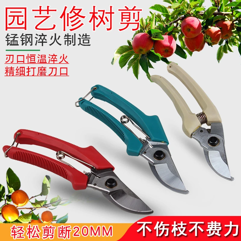 【直销】剪刀修枝剪园艺工具修枝剪花剪果树剪修花家用省力高树