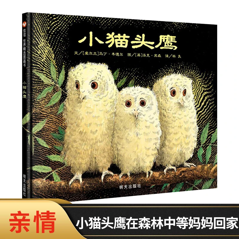 小猫头鹰硬壳精装绘本信谊精选图画书小猫头鹰在树林中等妈妈回来