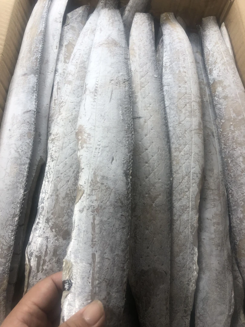 石浦海鲜咸带鱼1500克一份（江浙沪包顺丰）