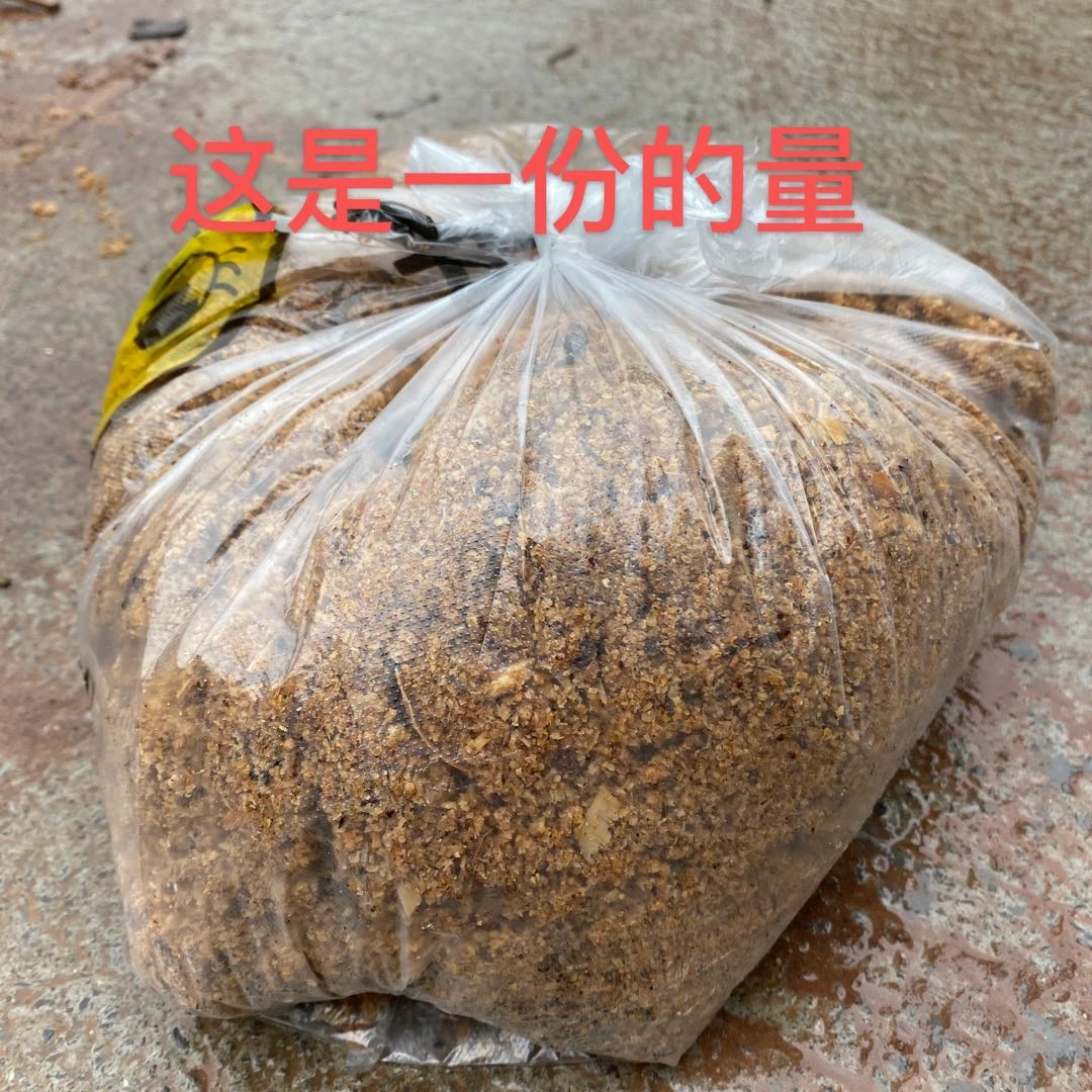 石斛盆栽兰科植物(种植料不含盆)