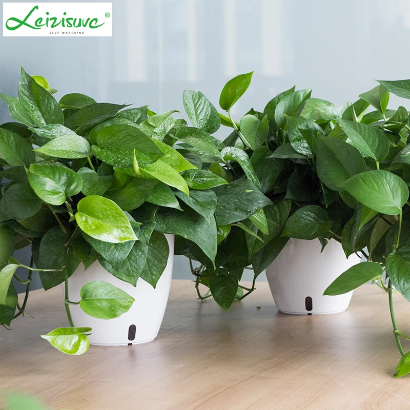 绿萝专用懒人花盆塑料仿陶瓷小号室内创意绿萝花盆绿萝水培花盆