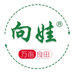 万亩良田向娃