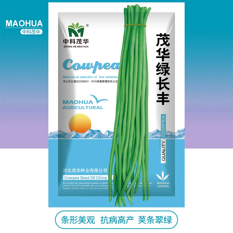 中科茂华 蔬菜种子 绿长丰豇豆种子 翠绿条不鼓籽 无鼠尾 条长90