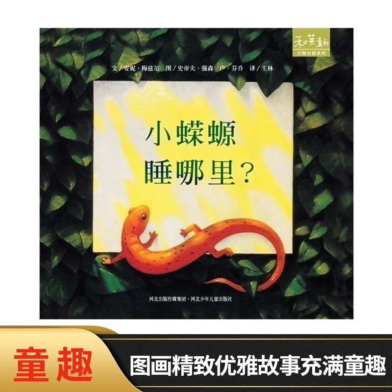 小蝾螈睡哪里硬壳精装绘本图画书中英文朗读和英正版童书