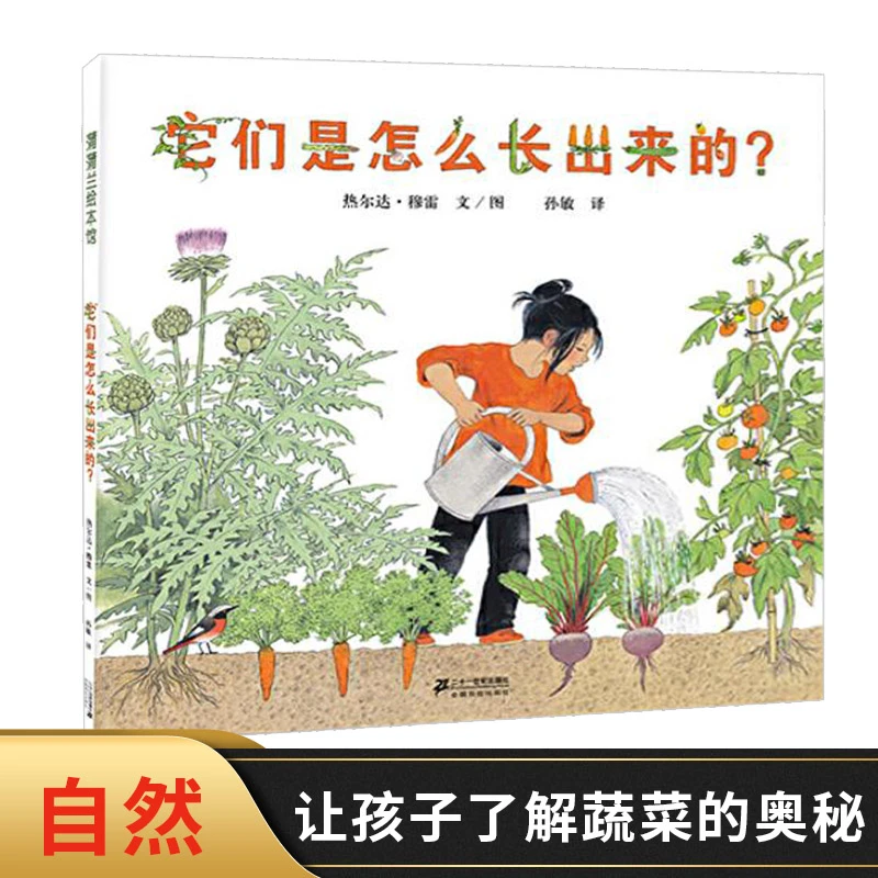 它们是怎么长出来的硬壳精装绘本让城市里的孩子亲近自然了解蔬菜