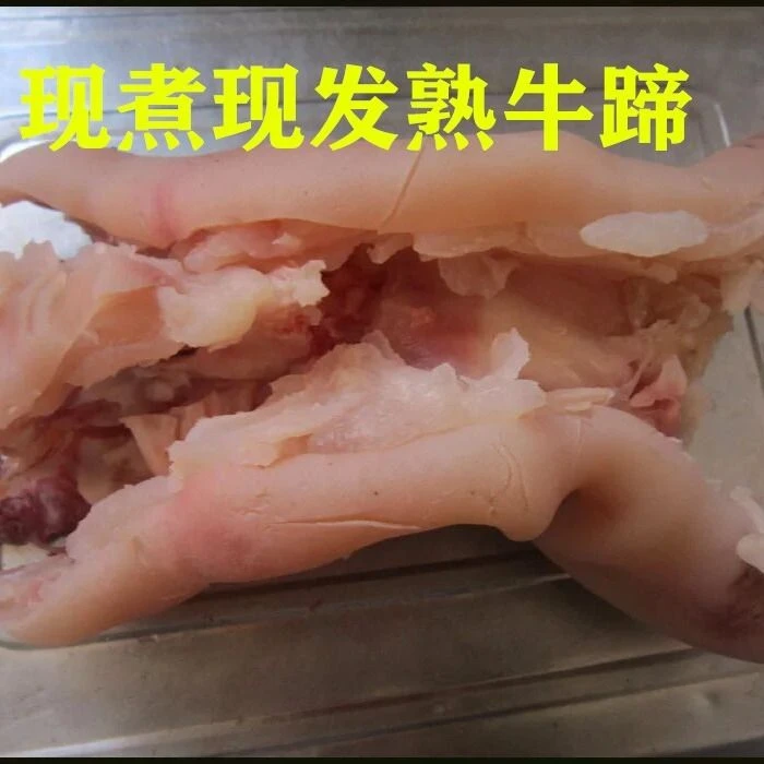 连云港发货 国产新鲜黄牛牛蹄熟牛蹄去主骨牛蹄