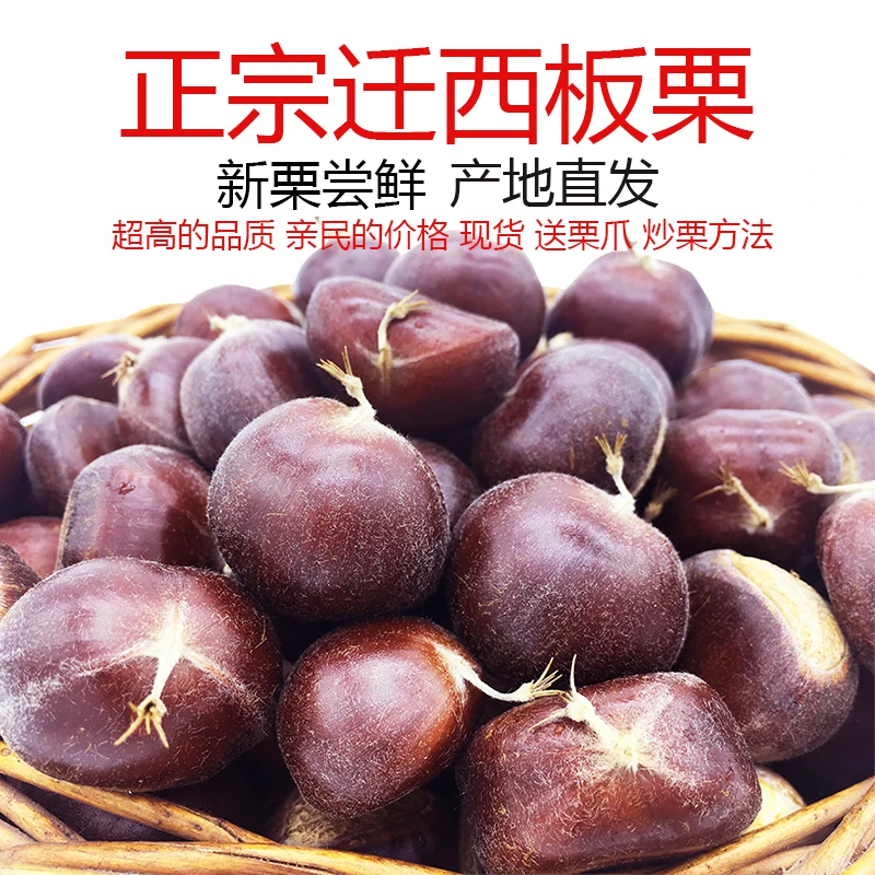正宗迁西板栗新鲜栗子带壳栗子生栗子栗司令
