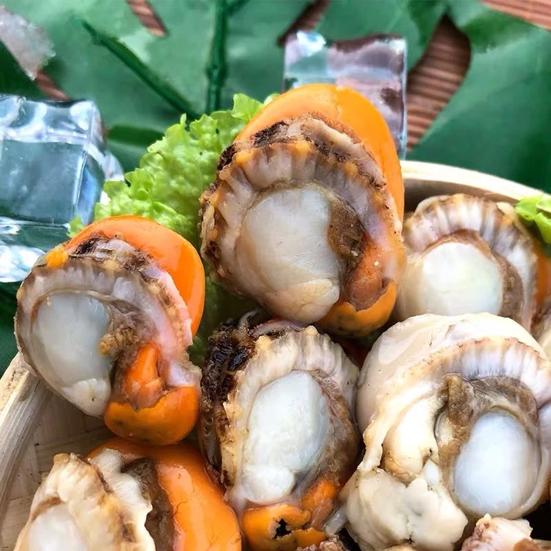 连云港新鲜大号去壳扇贝肉净重3斤 食用产品