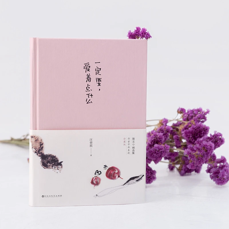 正版《一定要，爱着点什么》——人生如梦，我投入的却是真情