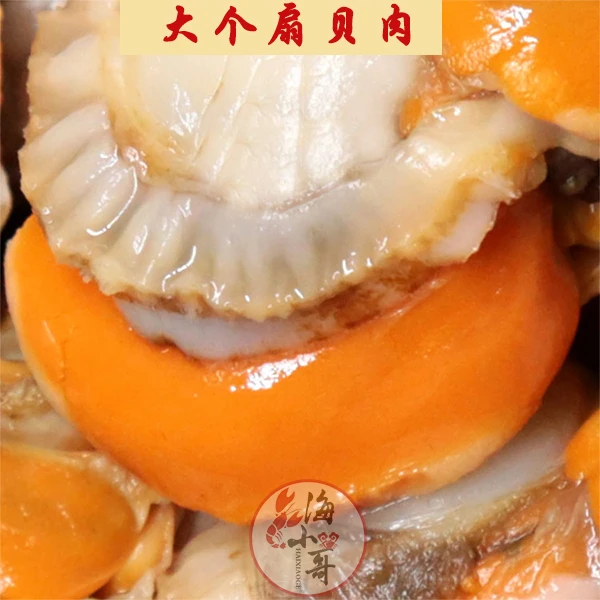 新鲜速冻超大扇贝肉带黄带膏鲜美无冰无泥沙肉质鲜嫩爽口冷链发货