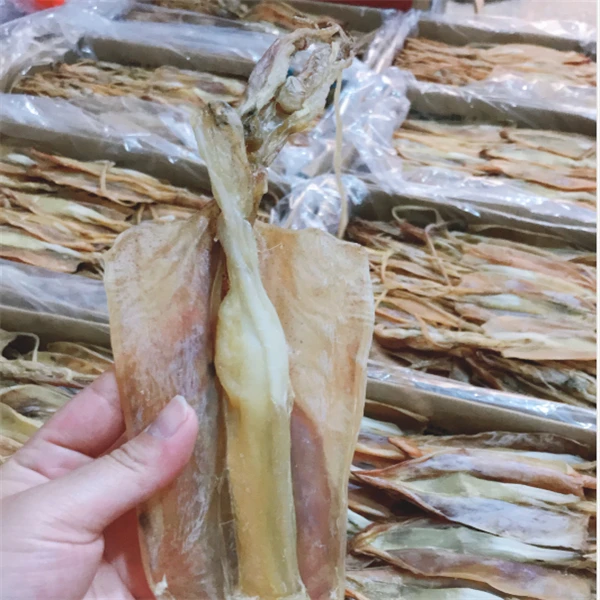 福建鱿鱼母500克