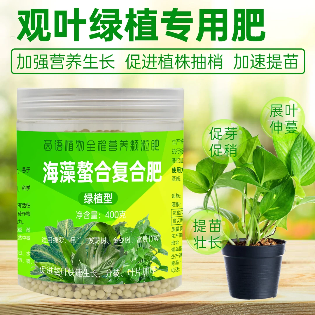 绿植专用肥盆栽通用室内植物发常春藤绿萝富贵竹吊兰海藻复合肥
