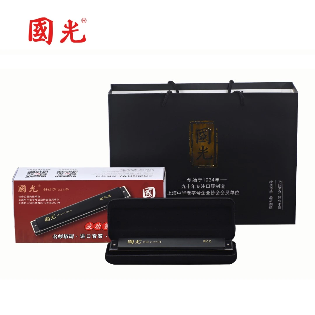 国光24孔国之光复音十二调波动音口琴含教材伴奏