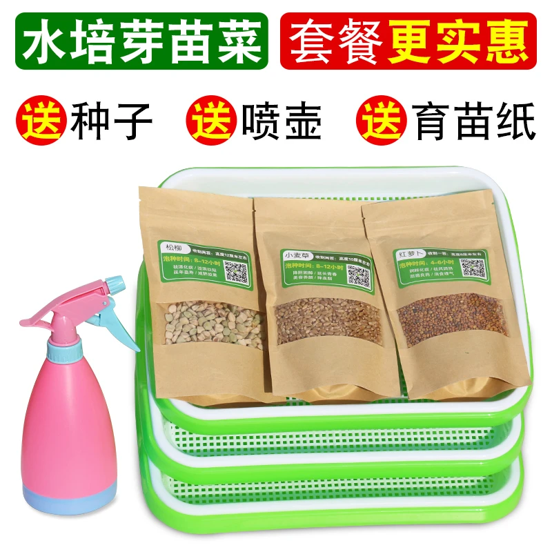 芽苗菜育苗盘豆芽发芽育苗盆托盘杯豆苗种植芽菜小麦种子蔬菜