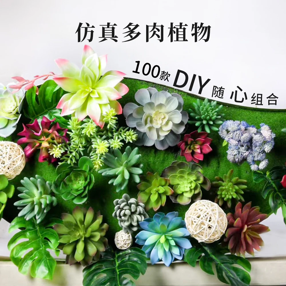 卓卉芝兰仿真多肉植物假多肉绿植微景观植物墙装饰花卉软装搭配