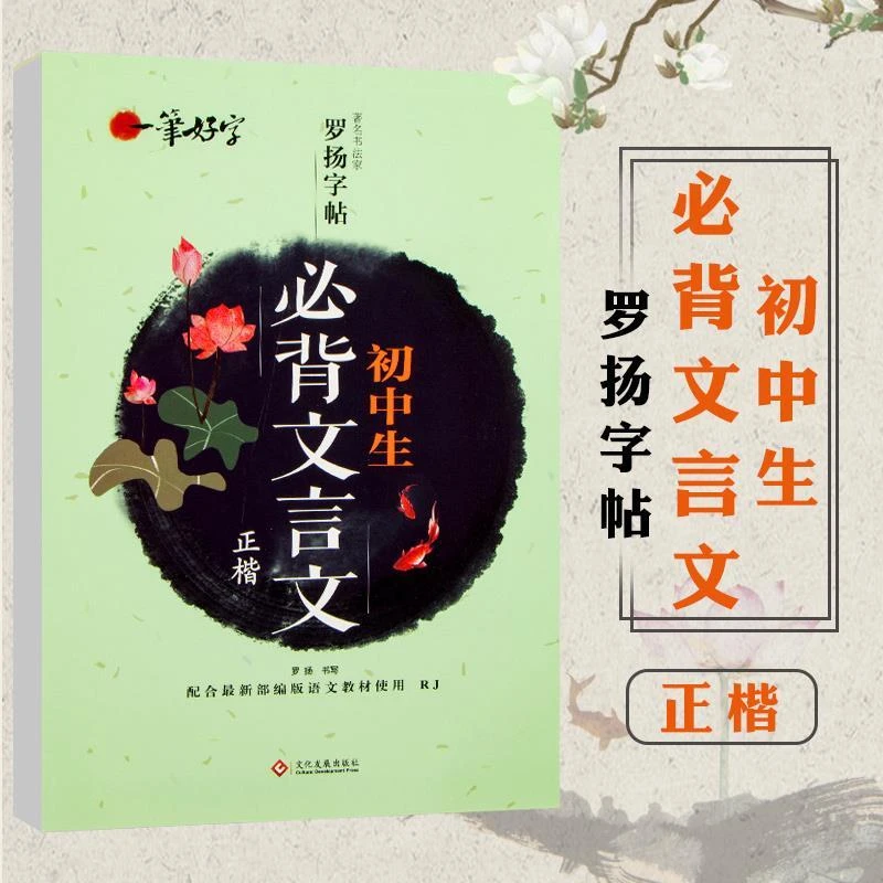 初中生必背文言文正楷字帖一笔好字罗扬字帖配人教版教材钢笔硬笔