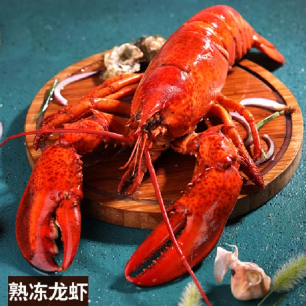 连云港发货  熟冻波龙（300克/只）食用鲜嫩 大龙虾 龙虾小龙虾品牌