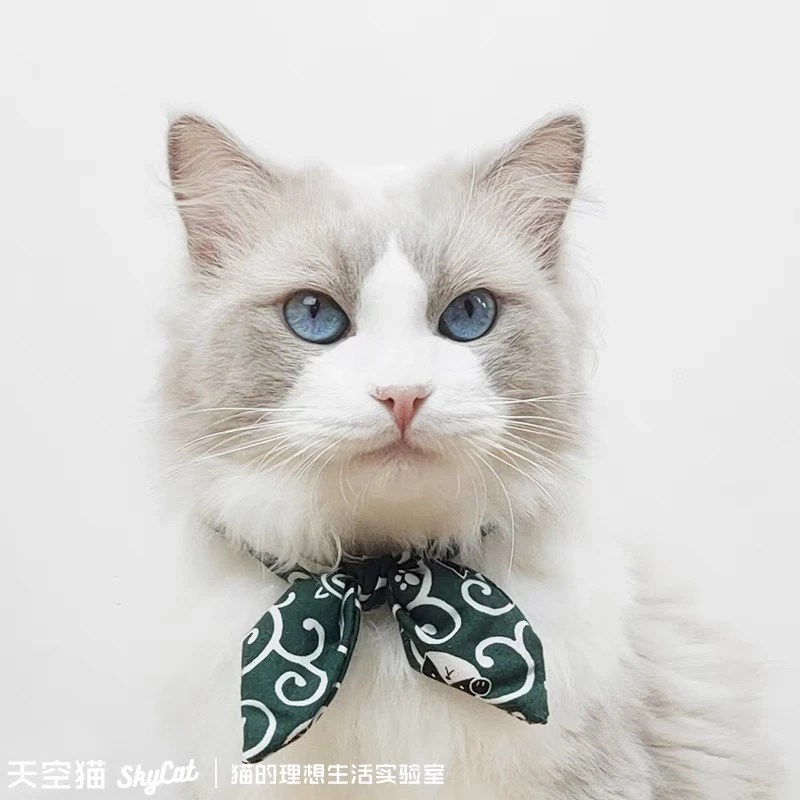 万圣圣诞节和风猫领结宠物饰品小猫项链布偶用品围脖可爱猫咪项圈