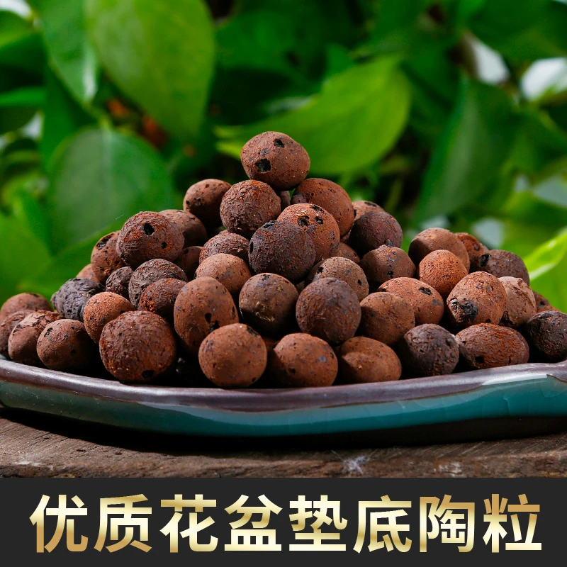【透水透气】陶粒轻质养花专用多肉花盆垫底铺面花盆垫底船长花园